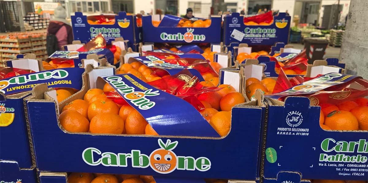 Clementine cal.2 - Calabria - 1,30/1,50 euro al chilogrammo